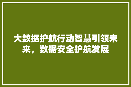 大数据护航行动智慧引领未来，数据安全护航发展