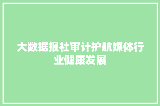 大数据报社审计护航媒体行业健康发展