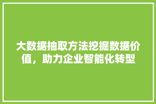 大数据抽取方法挖掘数据价值，助力企业智能化转型