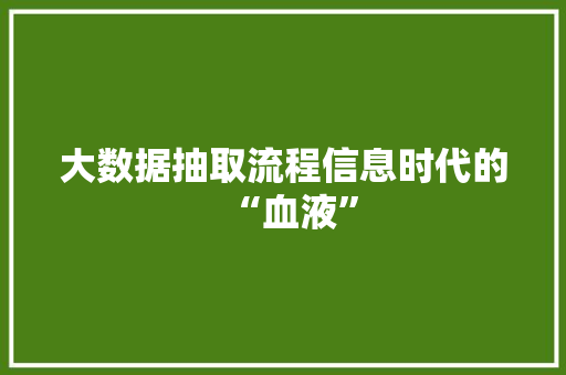 大数据抽取流程信息时代的“血液”