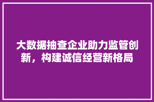 大数据抽查企业助力监管创新,构建诚信经营新格局 大数据抽查企业助力监管创新,构建诚信经营新格局