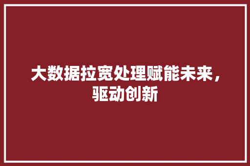 大数据拉宽处理赋能未来，驱动创新