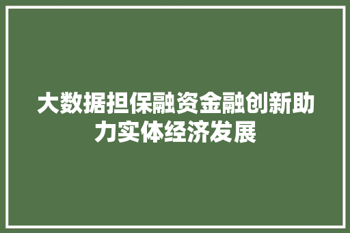 大数据担保融资金融创新助力实体经济发展