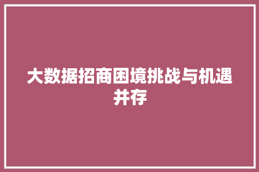 大数据招商困境挑战与机遇并存