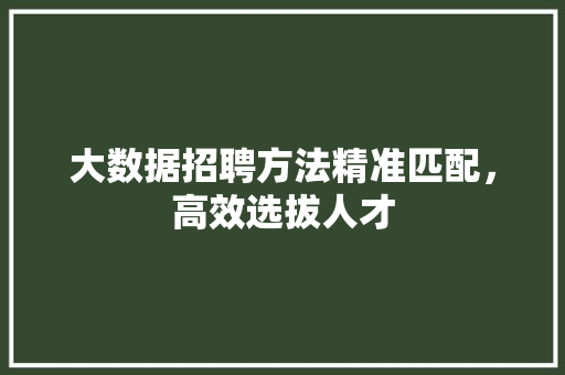 大数据招聘方法精准匹配，高效选拔人才