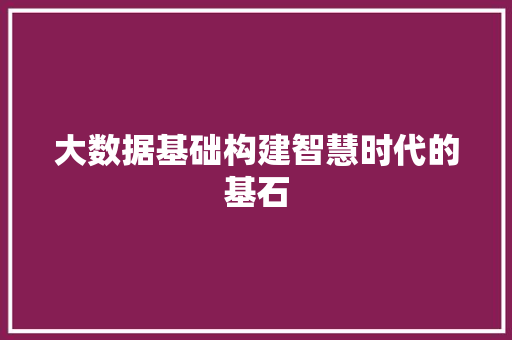 大数据基础构建智慧时代的基石