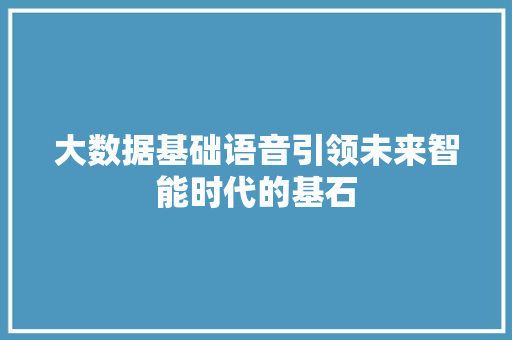 大数据基础语音引领未来智能时代的基石 电脑基础