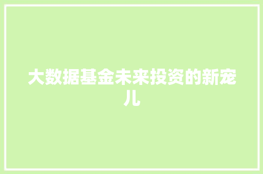 大数据基金未来投资的新宠儿