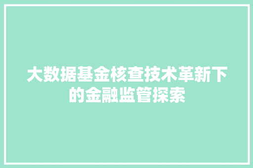 大数据基金核查技术革新下的金融监管探索