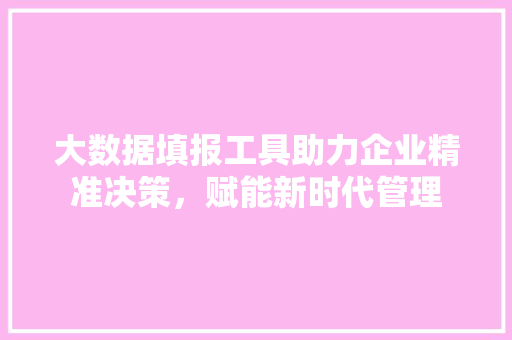 大数据填报工具助力企业精准决策，赋能新时代管理