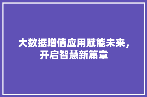 大数据增值应用赋能未来，开启智慧新篇章