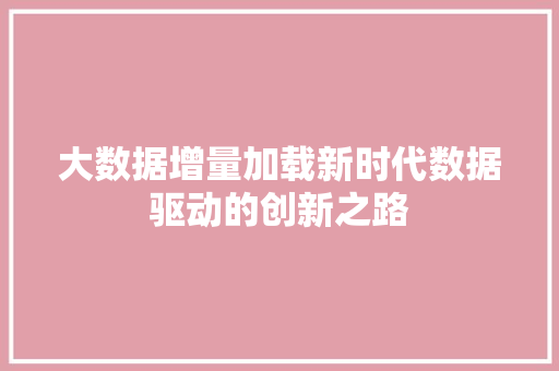 大数据增量加载新时代数据驱动的创新之路 编程语言
