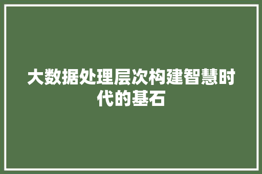 大数据处理层次构建智慧时代的基石