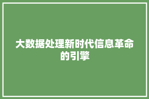 大数据处理新时代信息革命的引擎