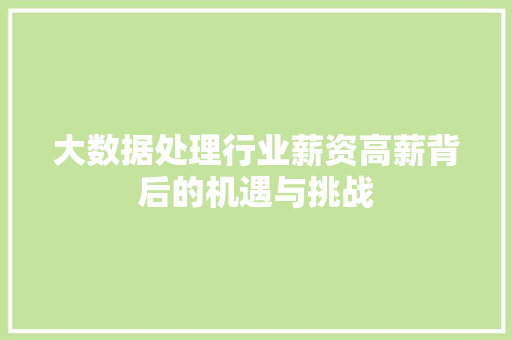 大数据处理行业薪资高薪背后的机遇与挑战