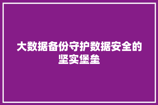 大数据备份守护数据安全的坚实堡垒