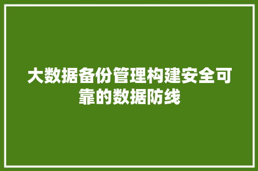 大数据备份管理构建安全可靠的数据防线