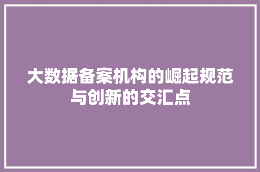 大数据备案机构的崛起规范与创新的交汇点 大数据备案机构的崛起规范与创新的交汇点