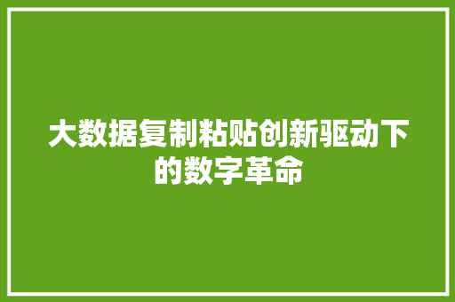 大数据复制粘贴创新驱动下的数字革命