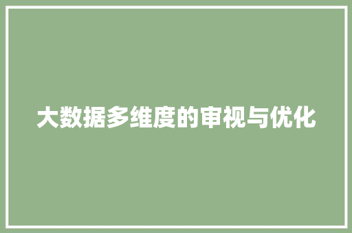 大数据多维度的审视与优化