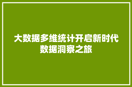 大数据多维统计开启新时代数据洞察之旅