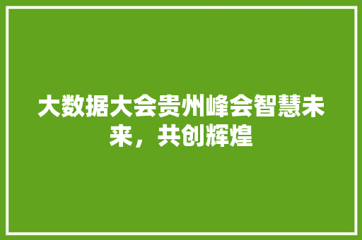 大数据大会贵州峰会智慧未来，共创辉煌