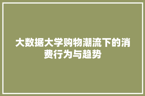 大数据大学购物潮流下的消费行为与趋势