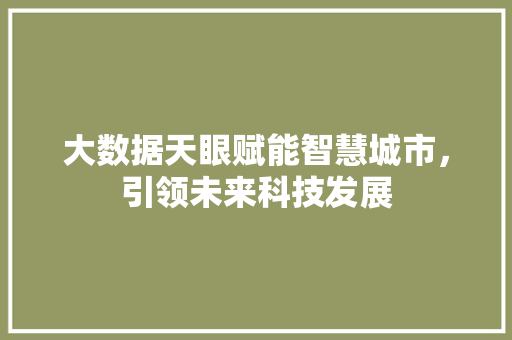 大数据天眼赋能智慧城市，引领未来科技发展 操作系统