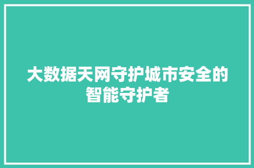 大数据天网守护城市安全的智能守护者
