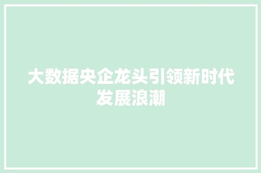 大数据央企龙头引领新时代发展浪潮 电脑基础