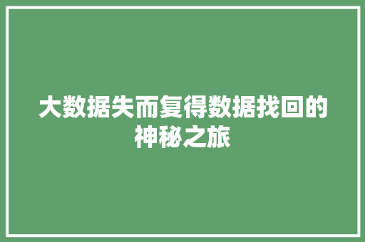 大数据失而复得数据找回的神秘之旅 网络技术