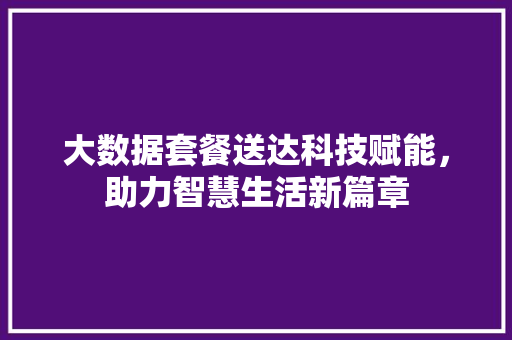 大数据套餐送达科技赋能，助力智慧生活新篇章