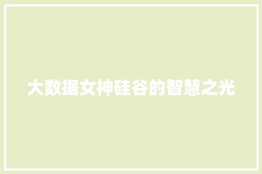 大数据女神硅谷的智慧之光