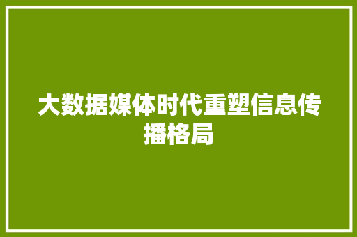 大数据媒体时代重塑信息传播格局 大数据媒体时代重塑信息传播格局