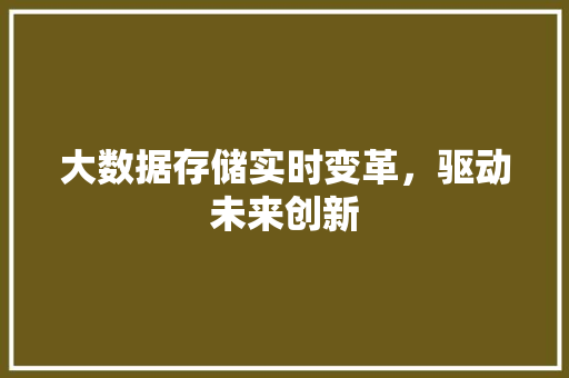 大数据存储实时变革，驱动未来创新