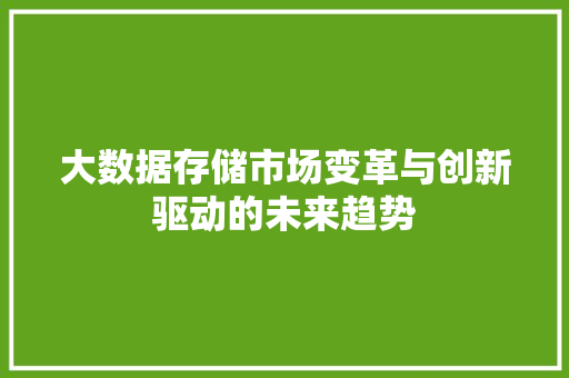 大数据存储市场变革与创新驱动的未来趋势 大数据存储市场变革与创新驱动的未来趋势