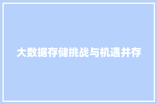 大数据存储挑战与机遇并存