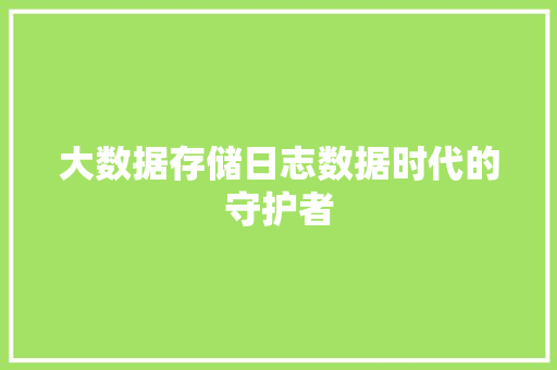 大数据存储日志数据时代的守护者
