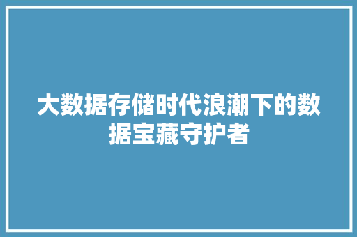 大数据存储时代浪潮下的数据宝藏守护者