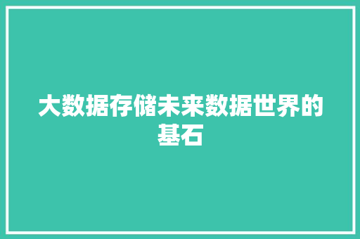 大数据存储未来数据世界的基石