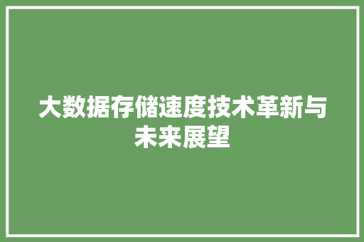 大数据存储速度技术革新与未来展望