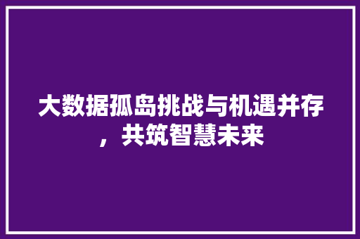 大数据孤岛挑战与机遇并存，共筑智慧未来