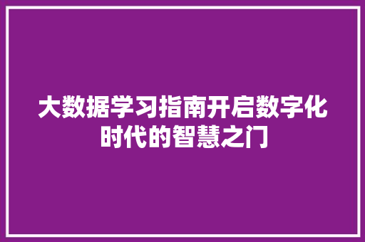 大数据学习指南开启数字化时代的智慧之门