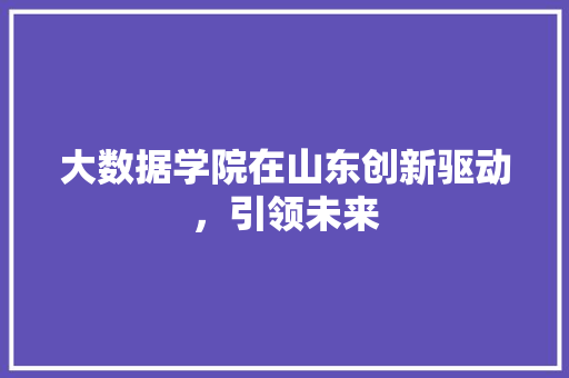 大数据学院在山东创新驱动，引领未来