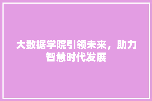 大数据学院引领未来，助力智慧时代发展