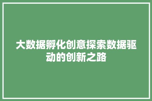 大数据孵化创意探索数据驱动的创新之路