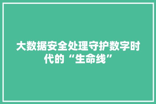 大数据安全处理守护数字时代的“生命线”