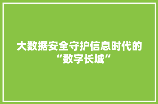 大数据安全守护信息时代的“数字长城”