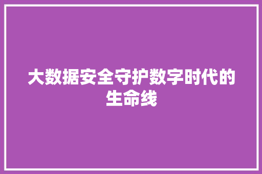 大数据安全守护数字时代的生命线