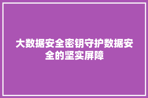 大数据安全密钥守护数据安全的坚实屏障